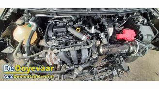 Ford Ka Ka+, Hatchback, 2016 / 2020 1.2 picture 3