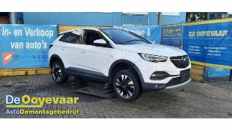 Vrakbiler auto Opel Grandland Grandland (X), SUV, 2017 1.2 Turbo 12V 2019/1