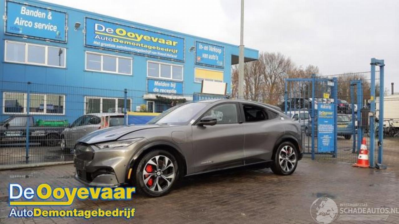 Ford Mustang Mach-e Mustang Mach-E, SUV, 2020 98kWh AWD