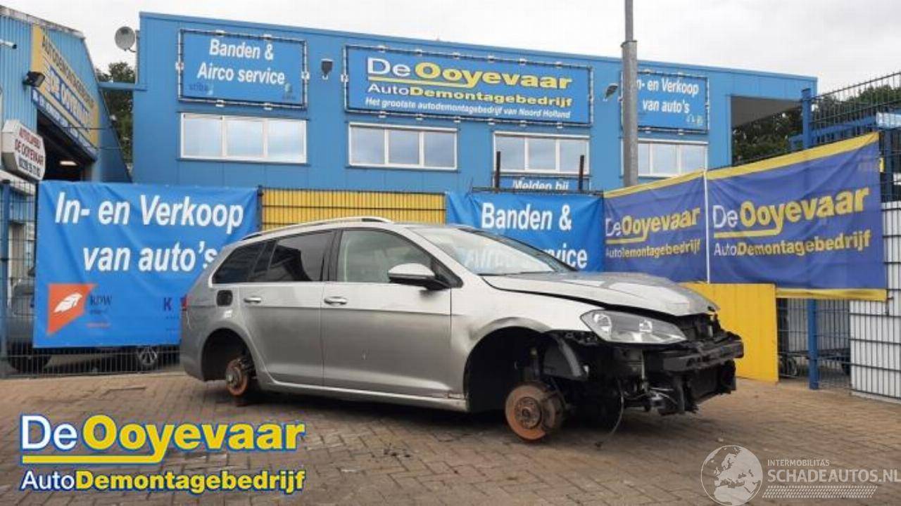Volkswagen Golf Golf VII Variant (AUVV), Combi, 2013 / 2021 1.6 TDI BlueMotion 16V