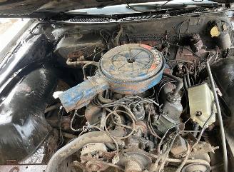 Ford USA  Ranche wagon 500 V8 picture 7