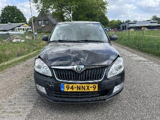 Skoda Fabia 1.2 TDI Greenline airco picture 13