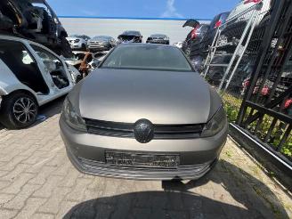 Volkswagen Golf Golf VII (AUA), Hatchback, 2012 / 2021 1.4 TSI 16V picture 6