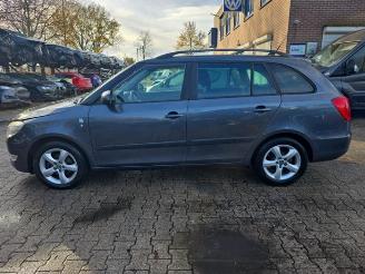 Skoda Fabia Fabia II Combi, Combi 5-drs, 2007 / 2014 1.2 TDI 12V Greenline picture 3