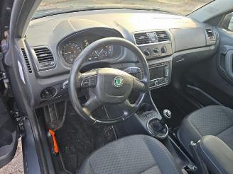 Skoda Fabia Fabia II Combi, Combi 5-drs, 2007 / 2014 1.2 TDI 12V Greenline picture 10