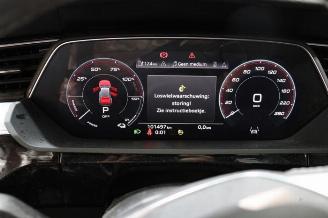 Audi E-tron e-tron (GEN), SUV, 2018 / 2023 55 quattro picture 16