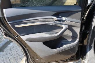 Audi E-tron E-tron Sportback (GEA), SUV, 2019 50 picture 29