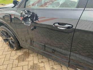 Audi Q3 Q3 Sportback (F3N), SUV, 2019 1.4 45 TFSIe 16V picture 35