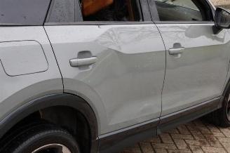 Audi Q2 Q2 (GAB/GAG), SUV, 2016 2.0 TDI 16V 190 Quattro picture 20