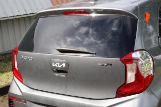 Kia Picanto Picanto (JA), Hatchback, 2017 1.0 12V picture 15