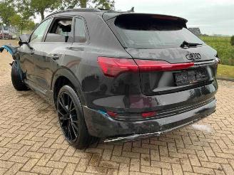 Audi E-tron e-tron (GEN), SUV, 2018 / 2023 55 quattro picture 5