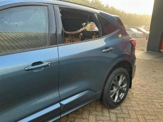 Ford Kuga Kuga III (DFK), SUV, 2019 2.5 PHEV 16V picture 14