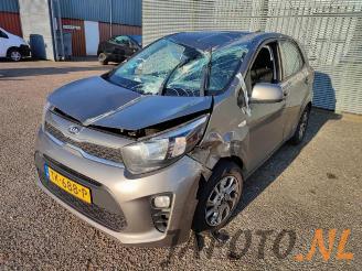Kia Picanto Picanto (JA), Hatchback, 2017 1.0 12V picture 1