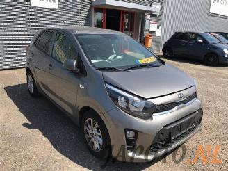 Kia Picanto Picanto (JA), Hatchback, 2017 1.2 CVVT 16V picture 7