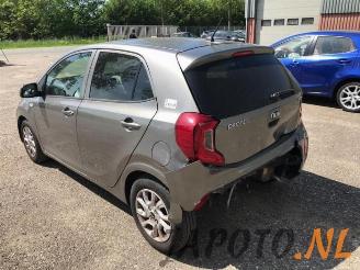 Kia Picanto Picanto (JA), Hatchback, 2017 1.2 CVVT 16V picture 3