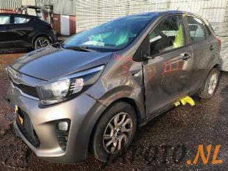 Kia Picanto Picanto (JA), Hatchback, 2017 1.0 12V picture 1