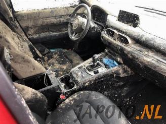 Mazda CX-5 CX-5 (KF), SUV, 2016 2.0 SkyActiv-G 165 16V 4WD picture 6