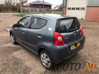 Suzuki Alto Alto, Hatchback 5-drs, 2009 1.0 12V picture 3