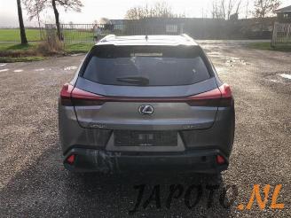 Lexus UX UX, SUV, 2019 250h 2.0 16V picture 4