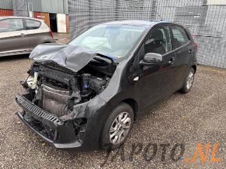 Vaurioauto  passenger cars Kia Picanto Picanto (JA), Hatchback, 2017 1.0 12V 2019/8
