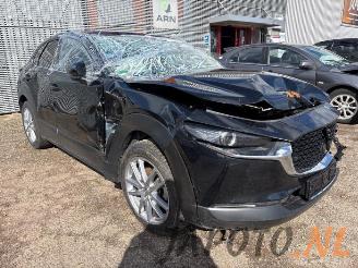Mazda CX-30 CX-30 (DM), SUV, 2019 2.0 e-SkyActiv-G 150 16V picture 7