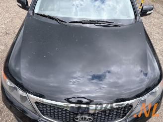 Kia Sorento Sorento II (XM), SUV, 2009 / 2015 2.4 16V 4x2 picture 35