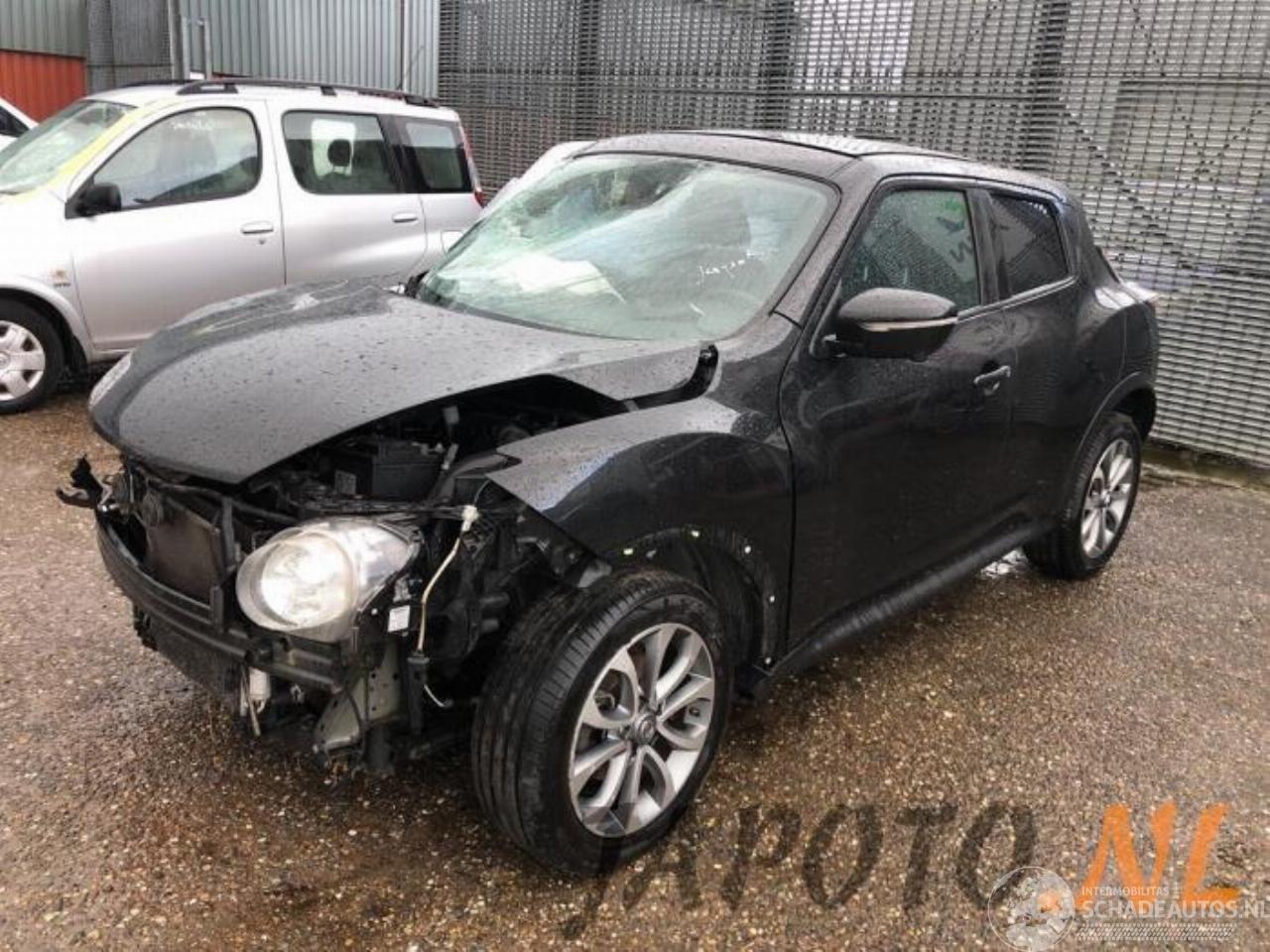 Nissan Juke Juke (F15), SUV, 2010 / 2019 1.2 DIG-T 16V