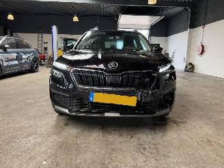 Skoda Kamiq 1.0 TSI Ambition picture 8