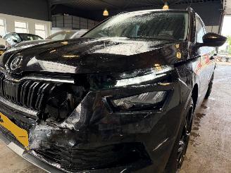 Skoda Kamiq 1.0 TSI Ambition picture 11