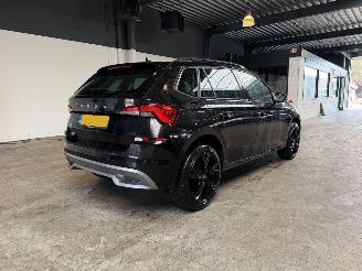 Skoda Kamiq 1.0 TSI Ambition picture 5