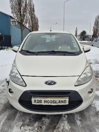 Uttjänta bilar auto Ford  II Hatchback 1.2 (169.A.4000(Euro 4; Euro 5)) [51kW] 5-BAK 2010/1