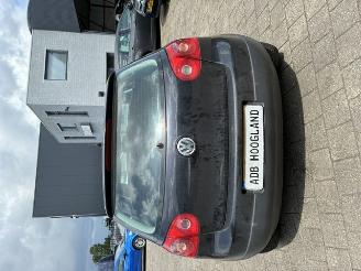 Volkswagen Golf (1K1) Hatchback 1.6 FSI 16V (BLF(Euro 4)) [85kW] 6-BAK picture 4