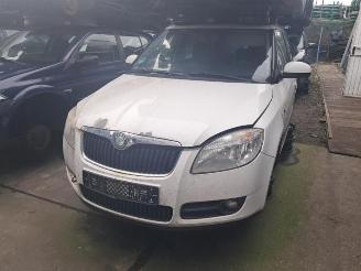 Skoda Fabia Fabia II Combi, Combi 5-drs, 2007 / 2015 1.4 TDI 80 picture 6