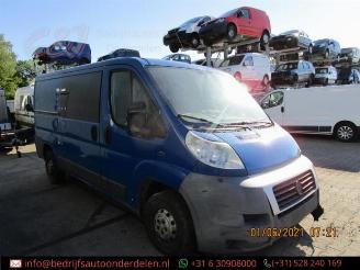 Fiat Ducato Ducato (250), Bus, 2006 2.3 D 120 Multijet picture 5