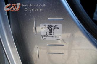 Opel Combo Combo Cargo, Van, 2018 1.5 CDTI 100 picture 18