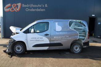 Opel Combo Combo Cargo, Van, 2018 1.5 CDTI 100 picture 2