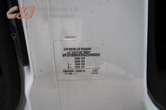 Peugeot Expert Expert (VA/VB/VE/VF/VY), Van, 2016 1.6 Blue HDi 115 picture 16