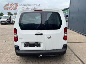 Opel Combo Combo Cargo, Van, 2018 1.6 CDTI 75 picture 5