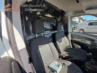 Opel Combo Combo, Van, 2012 / 2018 1.3 CDTI 16V ecoFlex picture 15