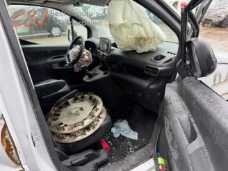 Opel Combo Combo Cargo, Van, 2018 1.5 CDTI 100 picture 15