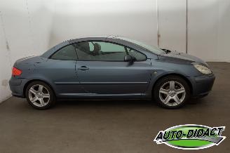 Peugeot 307 CC 2.0-16V Motorschade picture 31