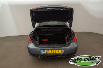 Peugeot 307 CC 2.0-16V Motorschade picture 29