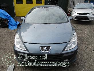Peugeot 307 307 CC (3B) Cabrio 2.0 16V (EW10J4(RFN)) [100kW]  (10-2003/06-2005) picture 5