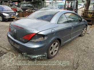 Peugeot 307 307 CC (3B) Cabrio 2.0 16V (EW10J4(RFN)) [100kW]  (10-2003/06-2005) picture 3