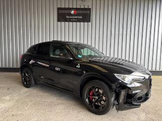 Alfa Romeo Stelvio Quadrifoglio Q4 Carbon / Pano / VOLL picture 8