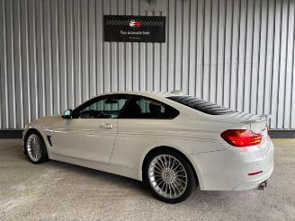 Alpina   picture 4