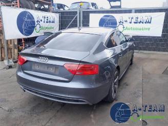 Audi 50 A5 Sportback (8TA), Liftback, 2009 / 2017 2.0 TDI 16V picture 1