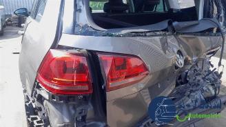 Volkswagen Golf Golf VII Variant (AUVV), Combi, 2013 / 2021 1.6 TDI BlueMotion 16V picture 14