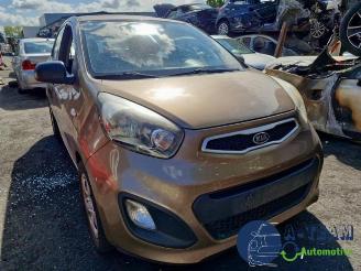 Kia Picanto Picanto (TA), Hatchback, 2011 / 2017 1.0 12V picture 3