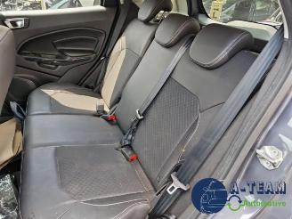 Ford EcoSport EcoSport (JK8), SUV, 2013 1.0 EcoBoost 12V 125 picture 23